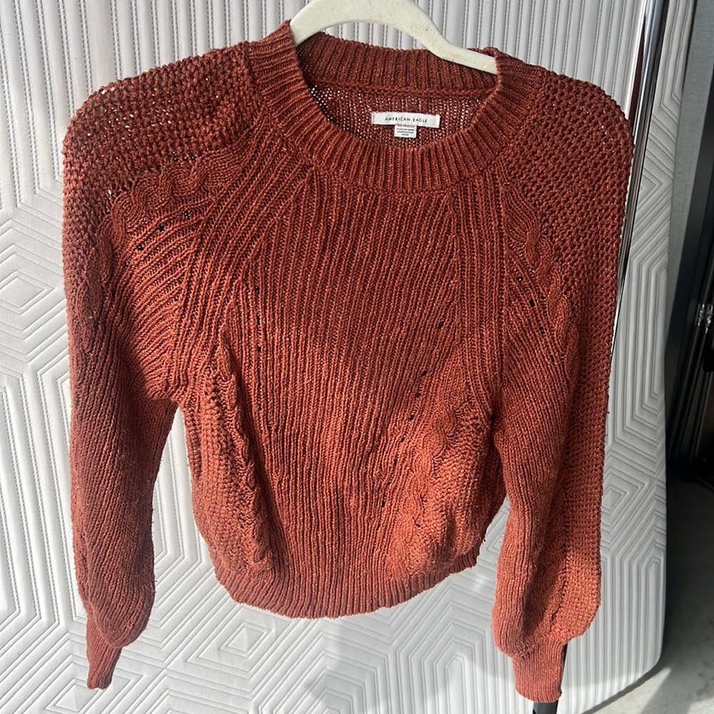 Burnt orange crop knit sweater